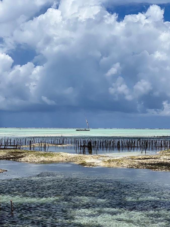 Kivuli Beach Resort Paje Bagian luar foto