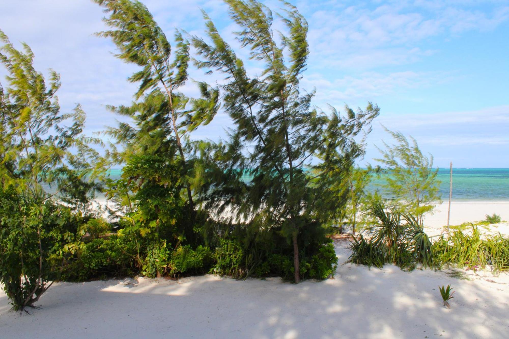 Kivuli Beach Resort Paje Bagian luar foto