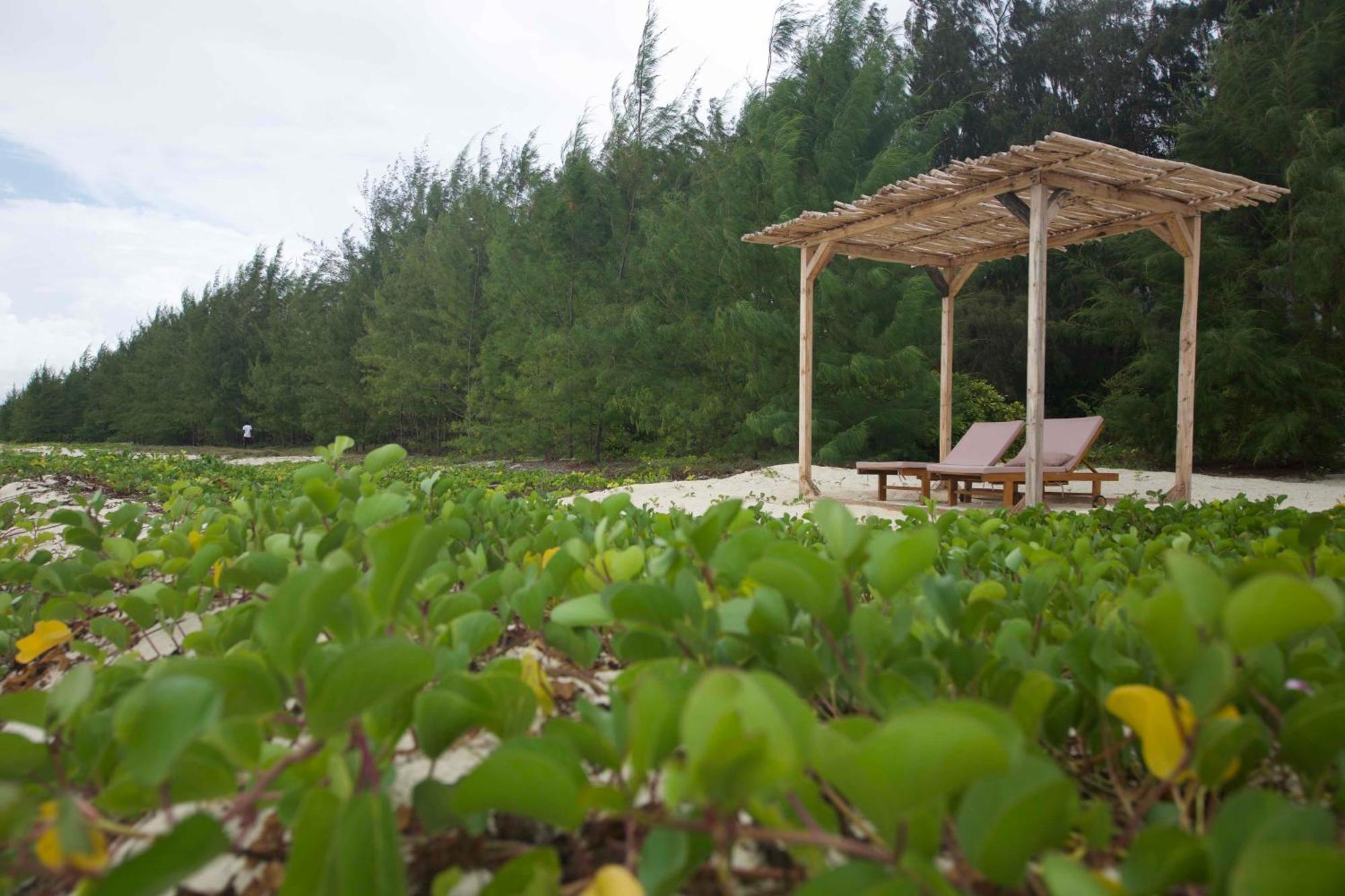 Kivuli Beach Resort Paje Bagian luar foto